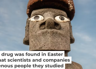 The Rapa Nui people are mostly invisible in the origin story of rapamycin. Posnov/Moment via Getty Images